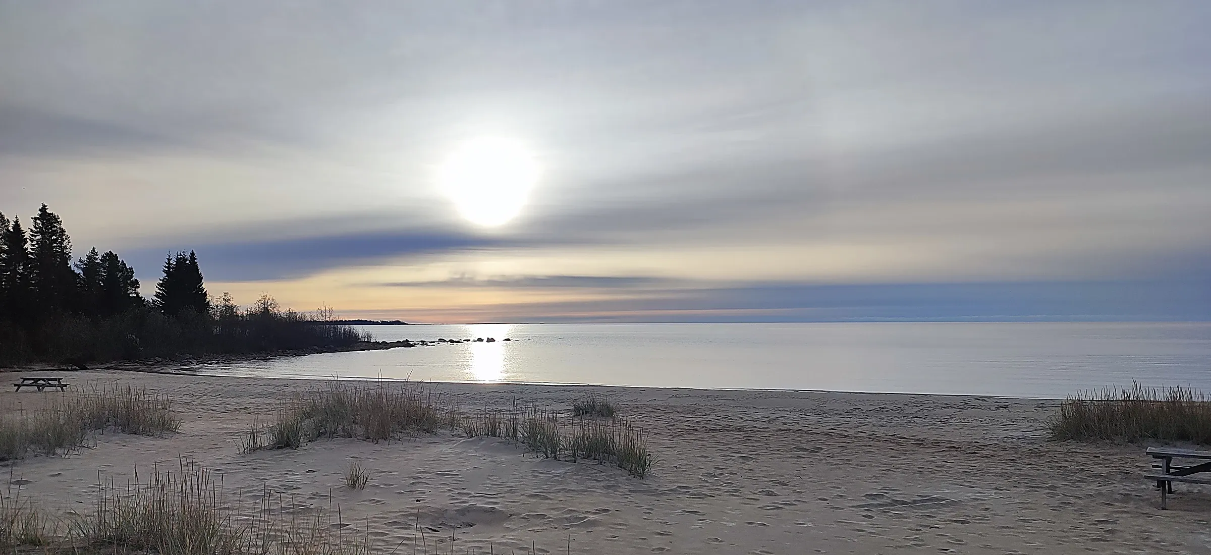 Une plage de sable aux herbes sèches au petit matin, dans le nord de la Suède : la mer calme jusqu’à l’horizon sous un soleil voilé, des sapins sombres sur la gauche.