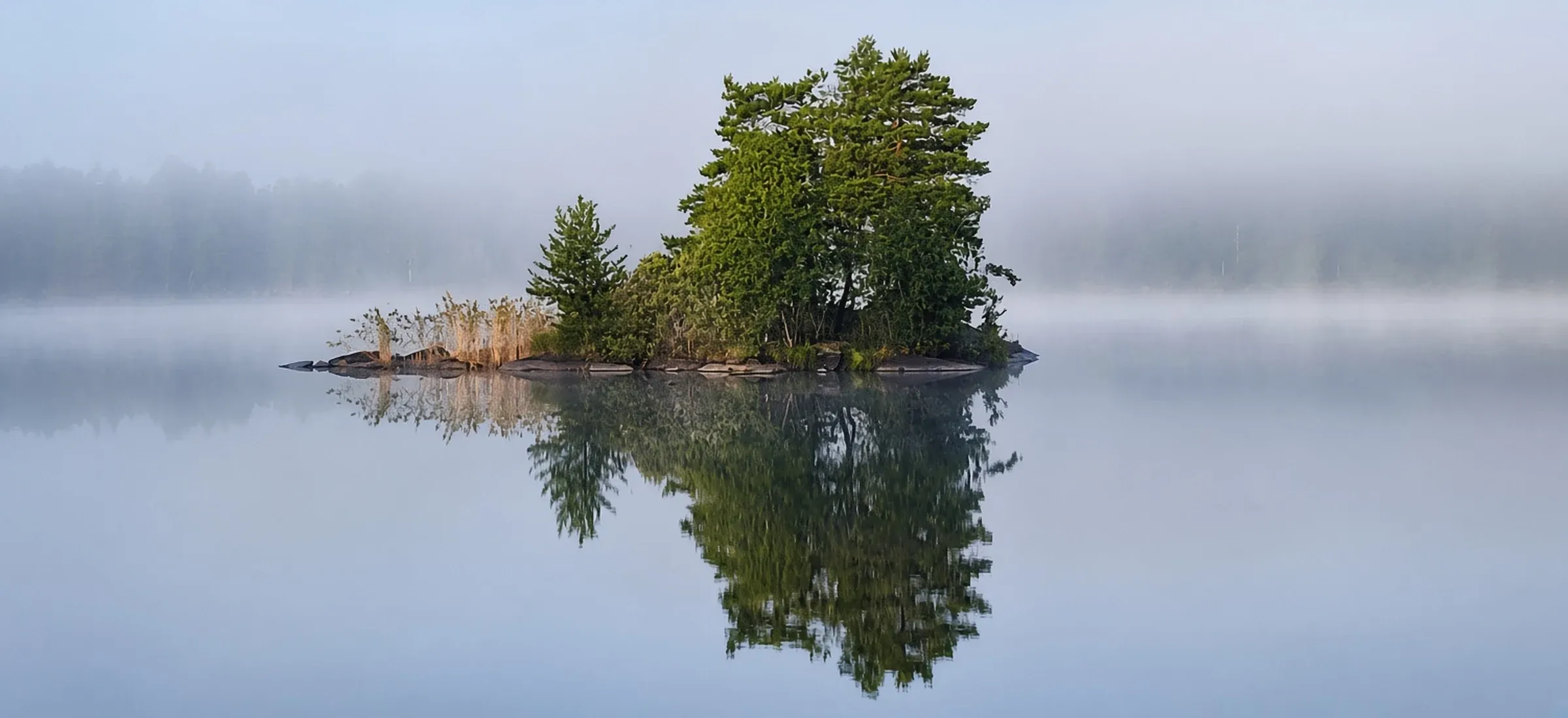 Un îlot de pins seul sur un lac immobile, dans la brume du matin, et son reflet entier dans l’eau.