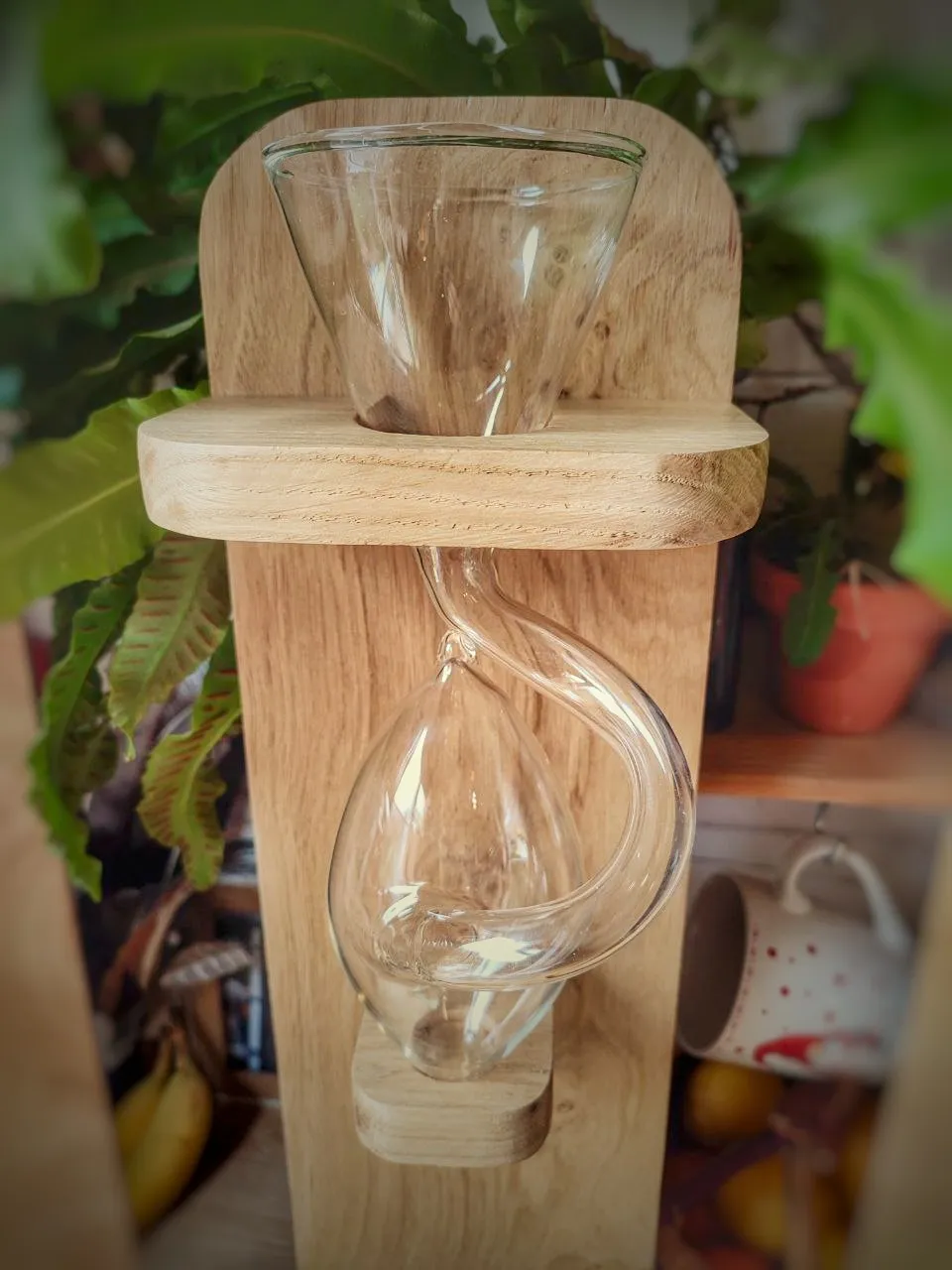 L’œuf de verre vide, posé sur la tablette de chêne, vu de face