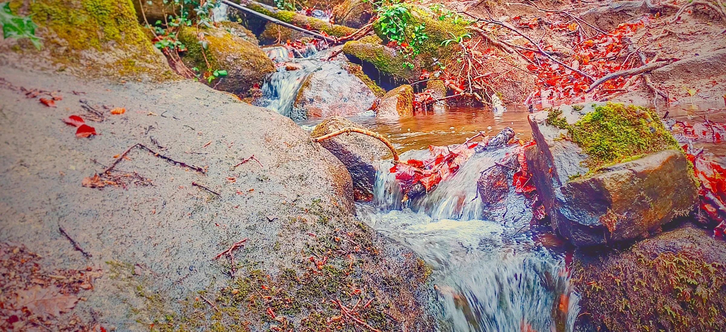 Un petit ruisseau descend en cascades entre des rochers couverts de mousse, au milieu des feuilles rouges de l’automne.