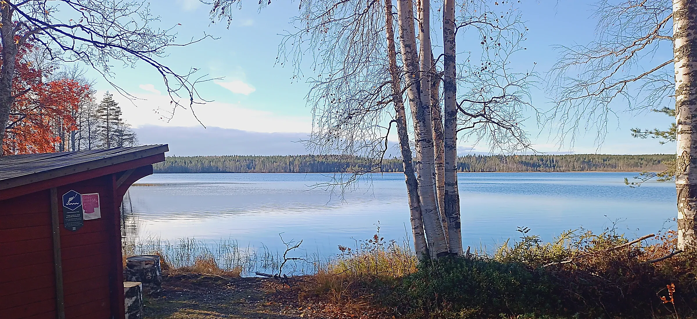 Un lac calme du nord de la Suède sous un ciel bleu, vu depuis la rive entre une cabane rouge et des bouleaux aux branches presque nues, la forêt sur la rive opposée.