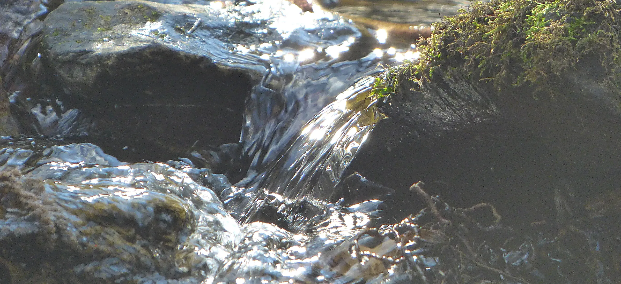 Un filet d’eau tombe entre des pierres couvertes de mousse, à contre-jour.