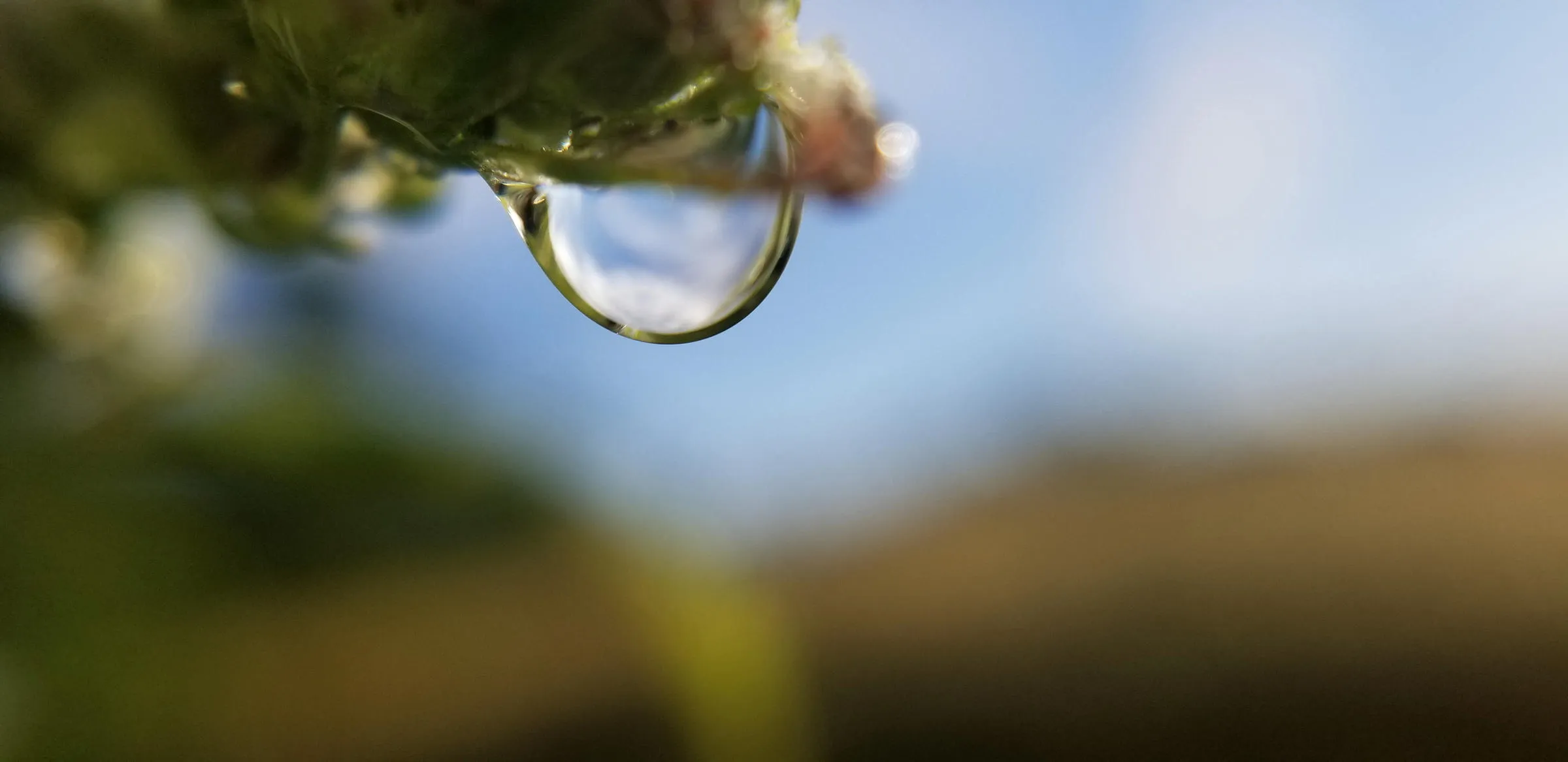 Une grosse goutte d’eau suspendue sous l’extrémité d’une plante, photographiée de très près. Le ciel bleu s’y reflète à l’envers, et derrière, flous, un horizon de collines brunes et une végétation verte.