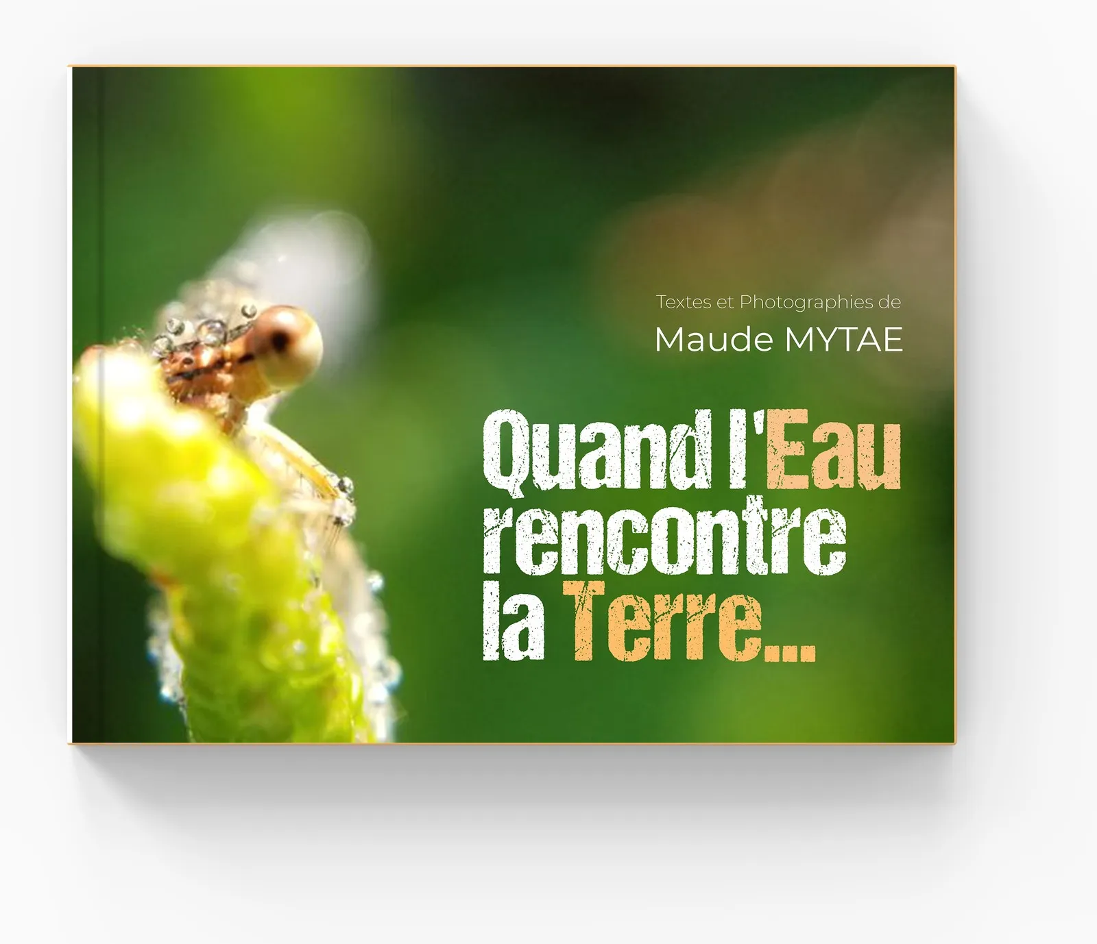 Le livre Quand l’Eau rencontre la Terre à plat : sur la couverture, une demoiselle couverte de rosée agrippée à un bourgeon vert, et le titre en lettres blanches et ocre.